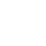 Network Visibility