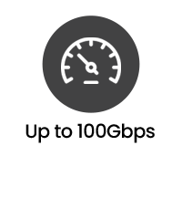 Bis zu 100Gbps