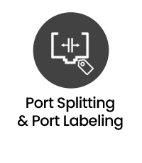 Port Splitting & Port Labeling