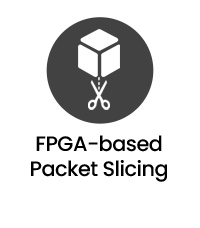FPGA-basiertes Packet-Slicing