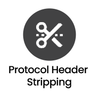 Protocol Header Stripping