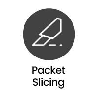 Packet Slicing