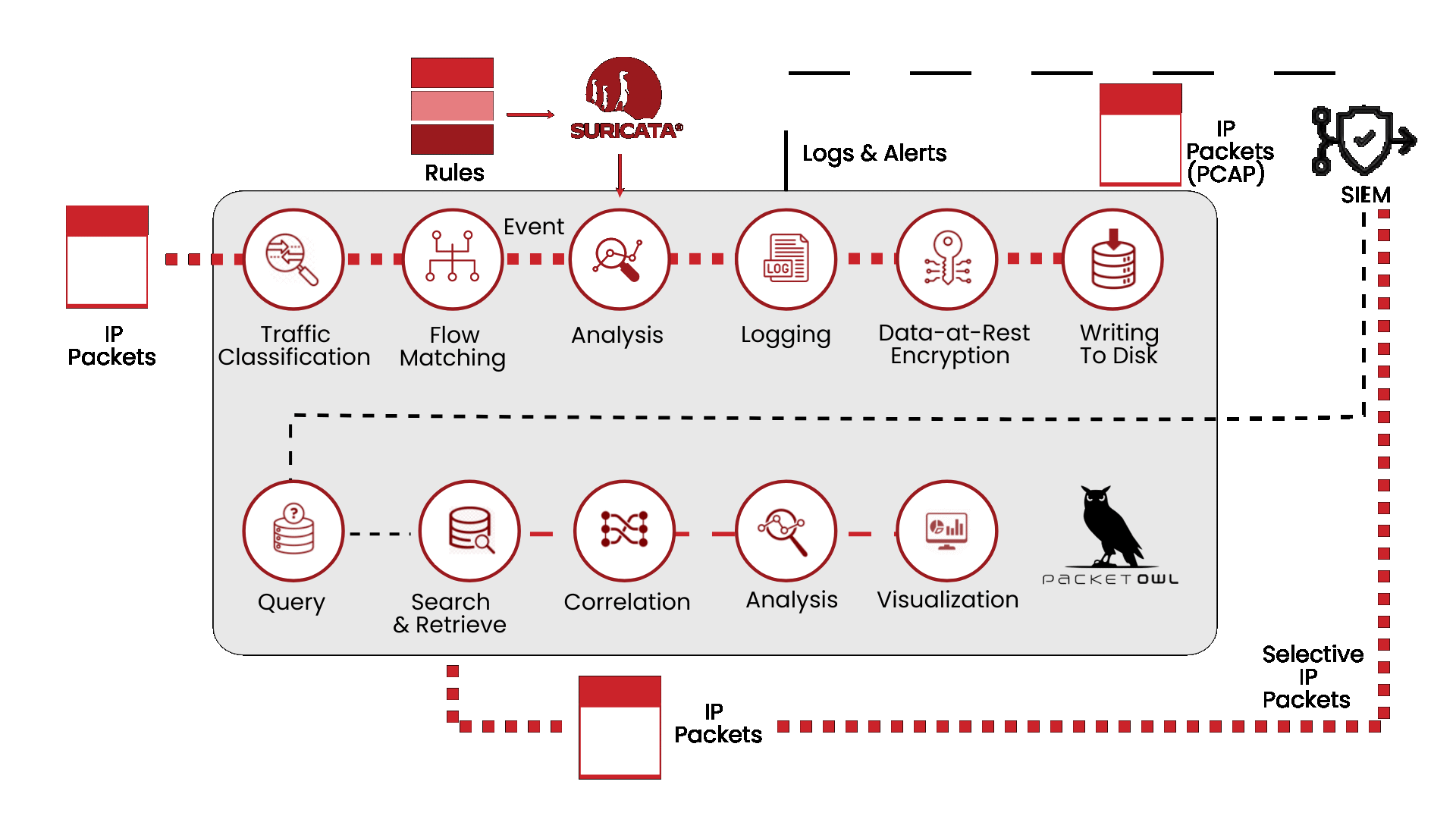 PacketOwl Paketfluss-Animation