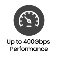 Bis zu 400Gpbs Performance