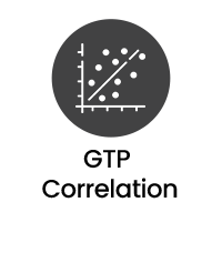 GTP-Korrelation